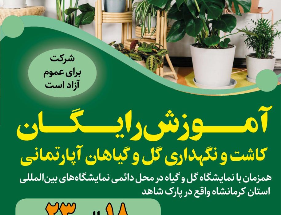 آموزش رایگان کاشت و نگهداری گل و گیاهان آپارتمانی