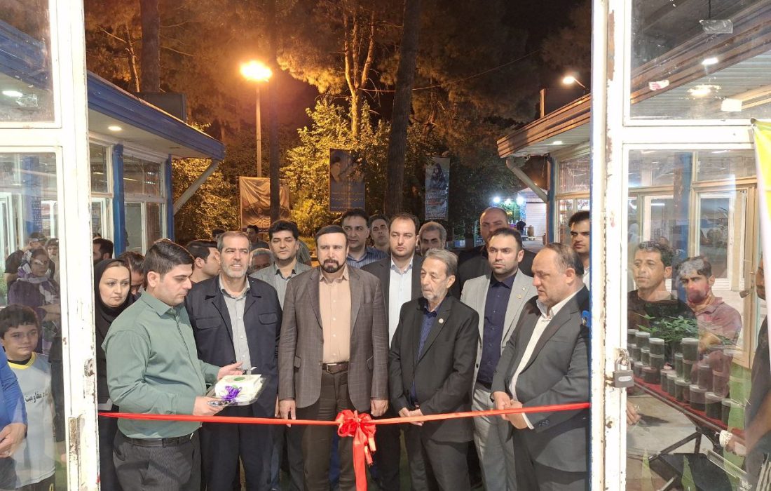 برپایی نمایشگاه گل و گیاه در کرمانشاه/کاشت گل‌های آپارتمانی آموزش داده می‌شود