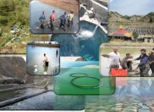 تولید بیش از ۱۷ هزار تن انواع آبزیان در ۹ ماهه امسال در کرمانشاه