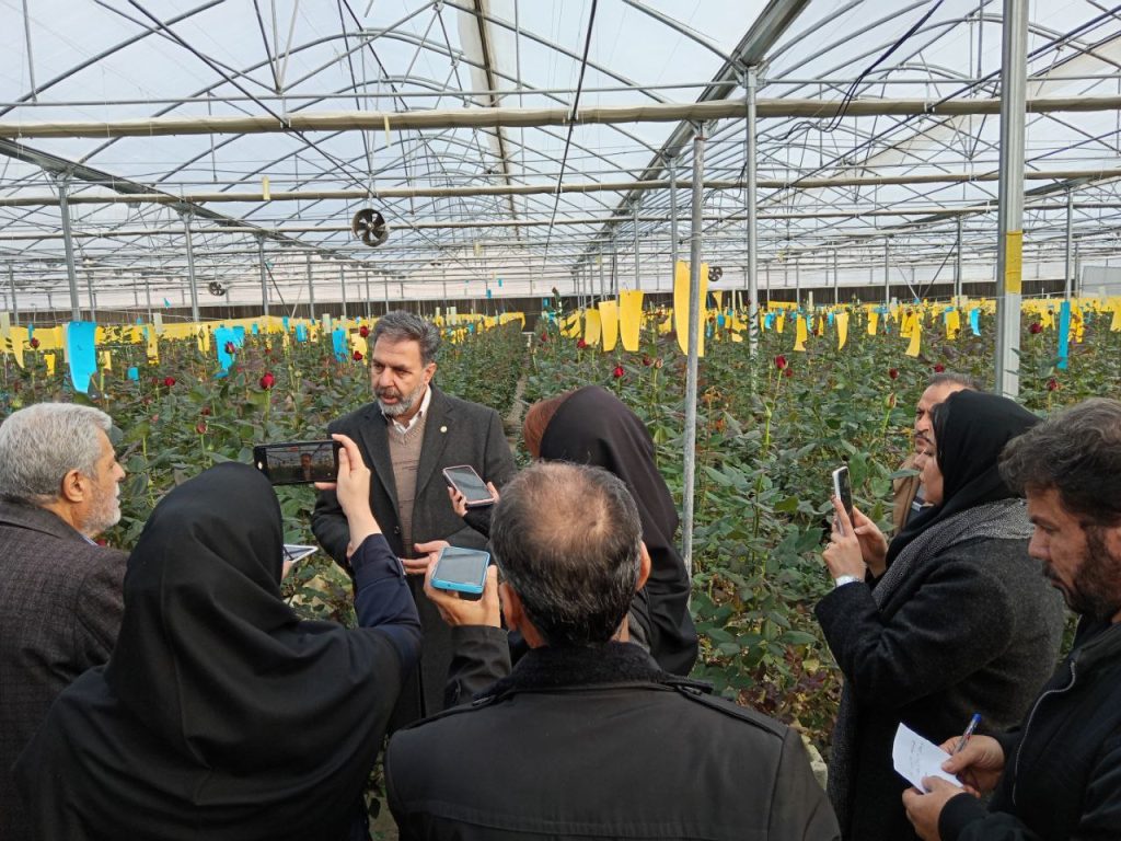 بازدید خبرنگاران از گلخانه رز فرامان 