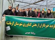 هفتمین تور رسانه‌ای و آموزشی بازدید از گلخانه رز فرامان در استان کرمانشاه برگزار شد