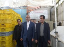 بازدید سرپرست سازمان مدیریت و برنامه‌ریزی استان به همراه استاندار کرمانشاه از چند واحد تولیدی و صنعتی استان