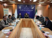 تأکید رئیس سازمان مدیریت و برنامه‌ریزی استان بر ضرورت تحقق کامل درآمدهای مالیاتی و مشارکت فعال دستگاه‌ها